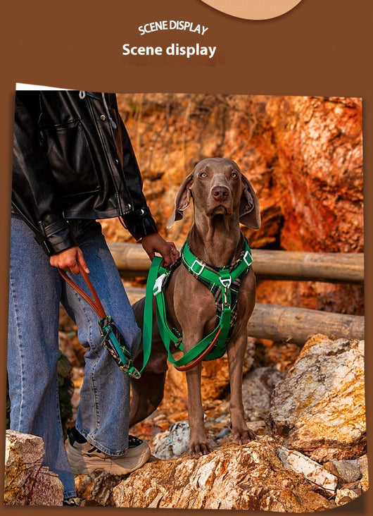 Arnés de Pecho para Perros con Correa de Fácil Colocación - Image 10