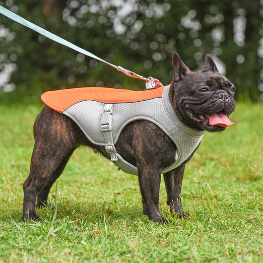 Chaleco Refrigerante Transpirable para Mascotas - Protección Verano - Image 11
