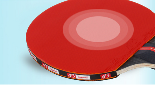 Set Completo de Raquetas de Tenis de Mesa con Bolsa Protectora - Image 8