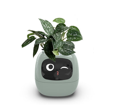 Maceta Inteligente con IA: 49 Expresiones y 7 Sensores para Plantas Felices - Image 82