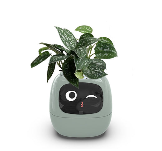 Maceta Inteligente con IA: 49 Expresiones y 7 Sensores para Plantas Felices - Image 82