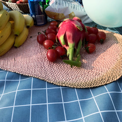 Manta Impermeable Portátil para Picnic y Camping - Red Acolchada Plegable - Image 9