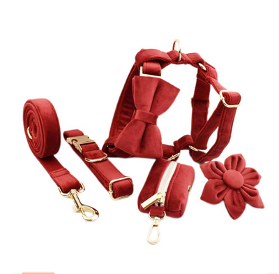 Collar de Perro Terciopelo Suave y Elegante - Image 13
