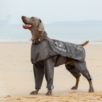 Poncho Impermeable para Perros Medianos y Grandes - Image 7