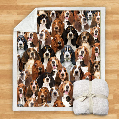 Manta Franela Estampada para Perros - Image 11