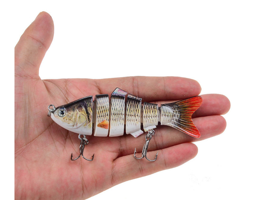 Peces Carnada Premium - Image 37