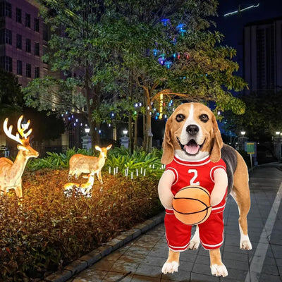 Disfraz de Jugador de Baloncesto para Perros - Outfit Deportivo Divertido - Image 21