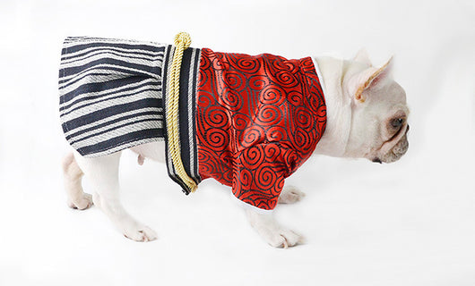 Disfraz de Guerrero Samurái para Perros - Estilo Kimono Japonés - Image 14