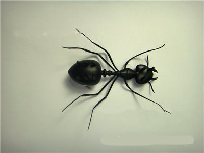 Mascota Electrónica Solar Hormiguita Interactiva - Image 6