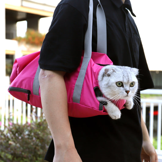 Bolsa de Transporte para Gatos Reforzada Anti Arañazos y Mordidas