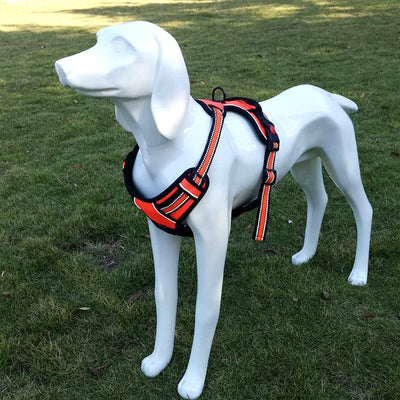 Arnés de Tracción para Pecho de Perro con Correa - Image 6