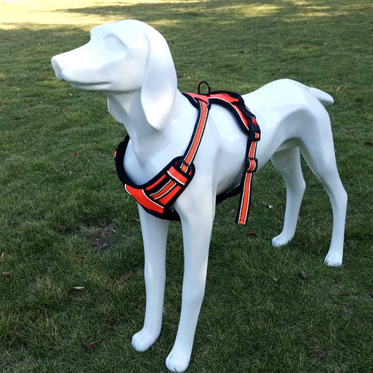 Arnés de Tracción para Pecho de Perro con Correa - Image 6