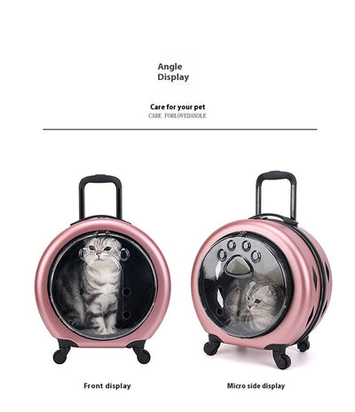 Bolsa Transportadora Transparente Reforzada para Mascotas - Gatos y Perros - Image 28