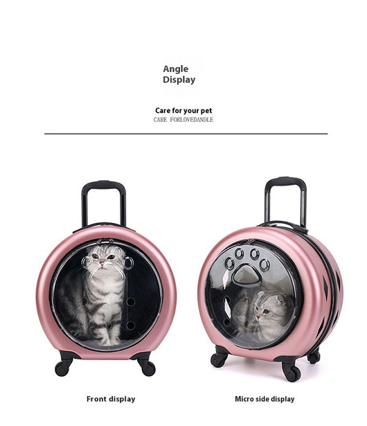 Bolsa Transportadora Transparente Reforzada para Mascotas - Gatos y Perros - Image 28