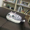 Almohada Gato 3D Grande - Cojín Decorativo Felino Impreso para Sofá