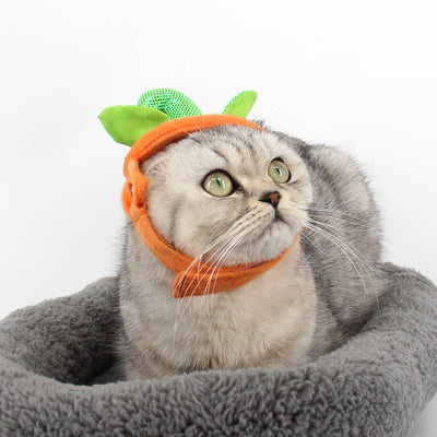 Disfraz de Gato Halloween con Decoración de Calabaza y Hojas Verdes - Image 13