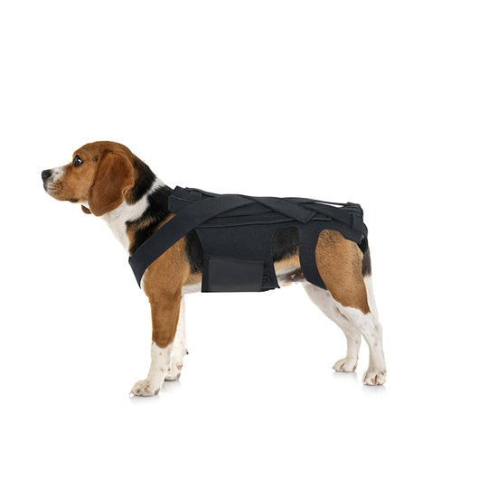 Arnés de Soporte Dorsal para Perros - Alivio de Dolor de Espalda, IVDD y Recuperación Quirúrgica - Image 12