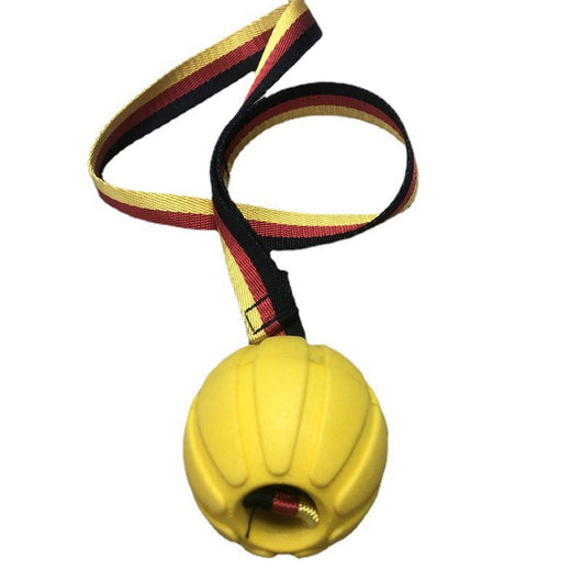 Yellow EVA pet training ball with a black, red, and yellow striped tether, designed for water play. - Image 4