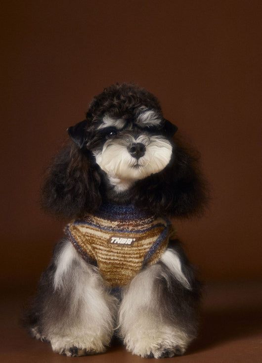 Chaleco Sin Mangas para Mascotas Schnauzer Bichón Rayas Arcoíris Variegadas - Image 25
