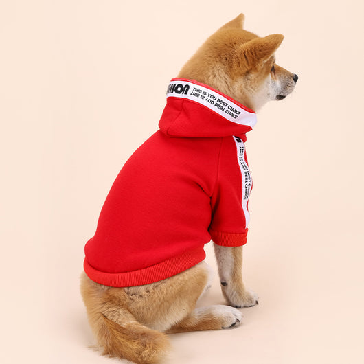Ropa de Moda para Perros Pequeños y Medianos - Image 11