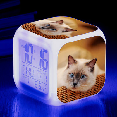 Reloj Despertador Cuadrado Multicolor para Gatos - Image 6