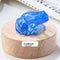 Specimen Popular Science Ornament Children's Gifts Azul Protein