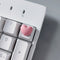 Amor Mini Rosa