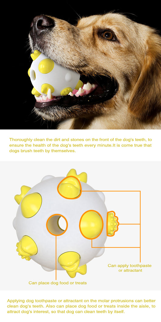 Juguete Pelota Interactiva para Perros - Limpieza Dental, Entrenamiento Mental y Alivio del Estrés - Image 15