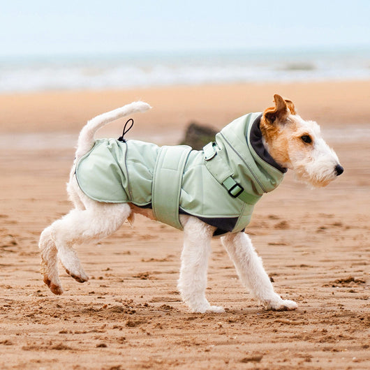 Abrigo Impermeable para Perros - Protección Contra Viento y Frío - Image 2