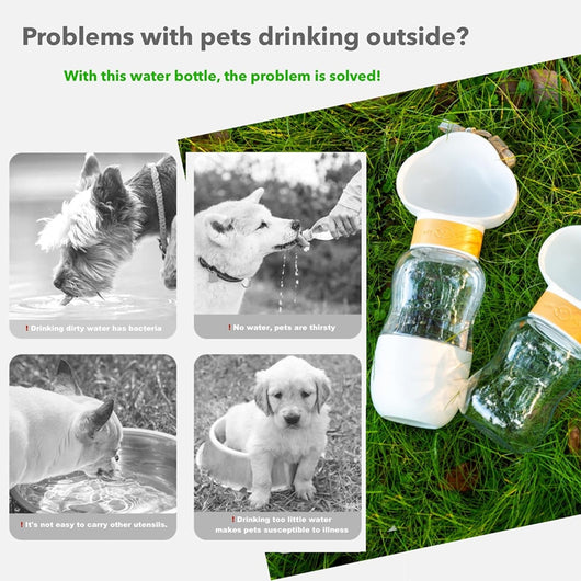 Botella Portátil para Perros - Comedero y Bebedero Plegable para Paseos - Image 24