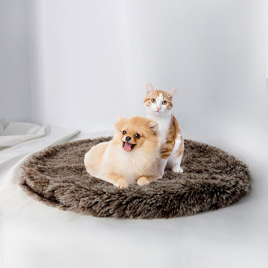 Cama Redonda Acogedora para Mascotas con Manta Térmica