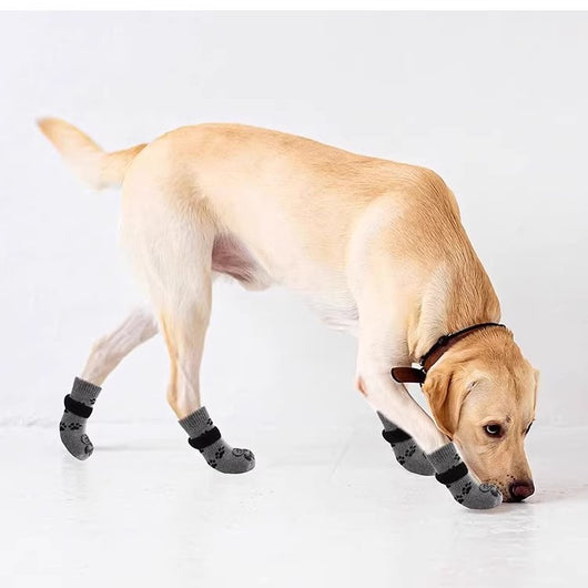 Calcetines Antideslizantes para Perros Medianos y Grandes - Botas Protectoras Silenciosas - Image 3