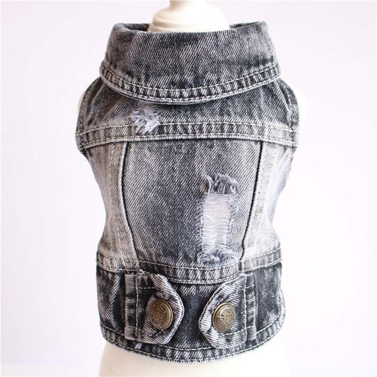 Chaleco Denim para Perros Pequeños - Abrigo de Moda Primavera para Mascotas - Image 9