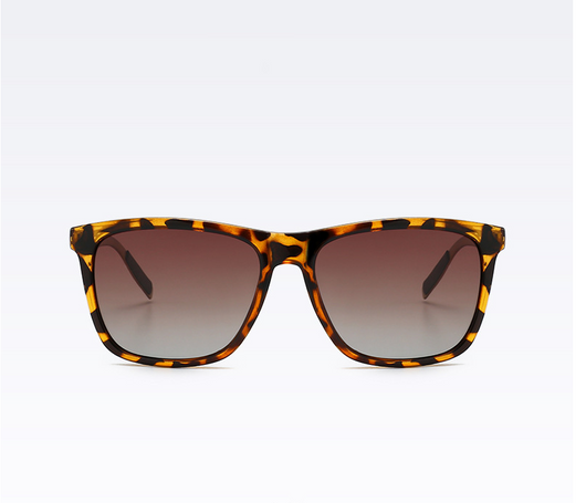 Tortoise shell square frame sunglasses with brown gradient polarized lenses on a white background.