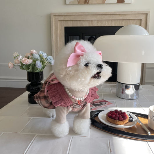 Diadema Ajustable con Moño para Mascotas - Accesorios de Moda Felina - Image 12