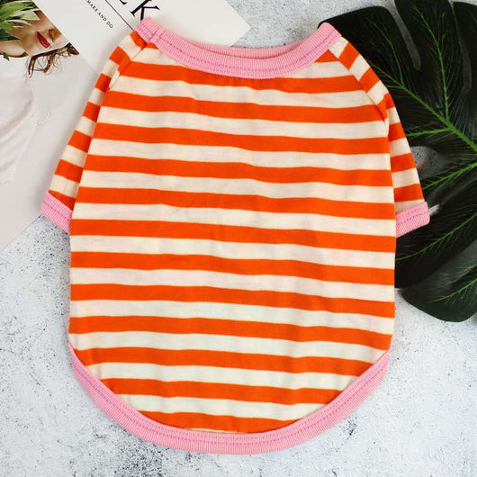 Ropa de Moda para Perros - Diseño Colorido y Versátil - Image 2