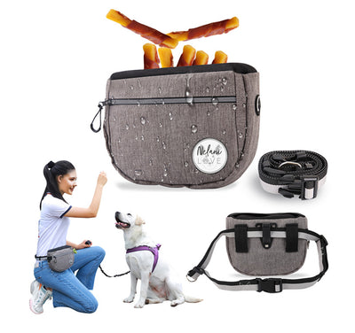 Bolsa de Entrenamiento para Perros - Accesorio Portátil para Paseos y Adiestramiento