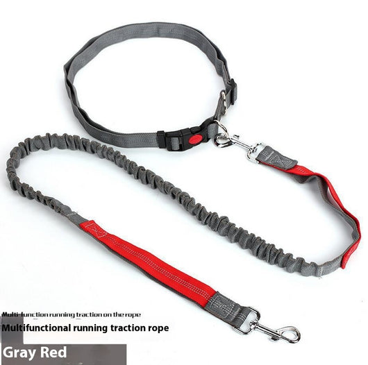Correa Reflectante para Perros con Elástico - Ideal para Correr de Noche - Image 6