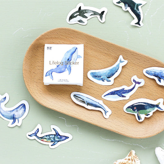 Box of 'Lifelog sticker' whale stickers with various blue whale designs scattered on a light blue plate. - Image 6