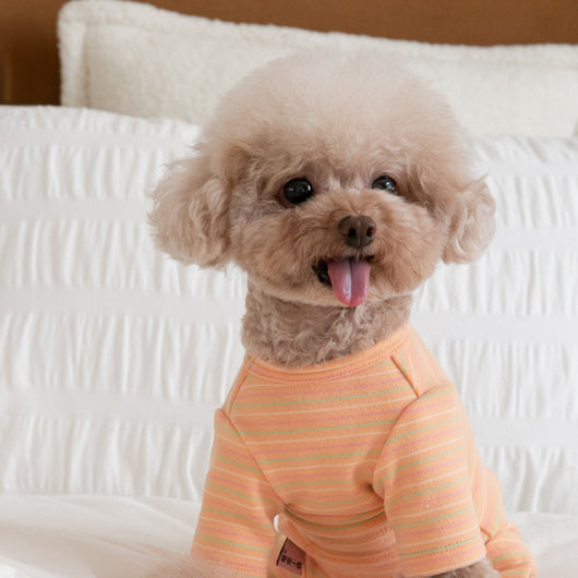Ropa Térmica para Perros - Abrigo de Cuatro Patas - Image 3