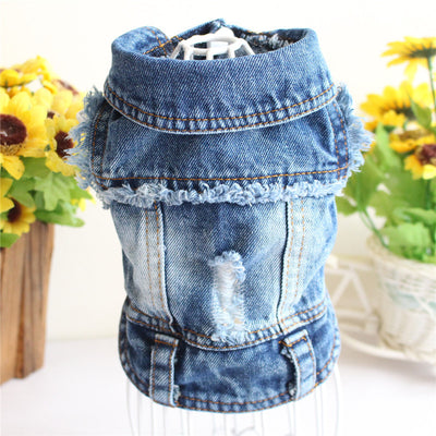 Chaleco Denim para Perros Pequeños - Abrigo de Moda Primavera para Mascotas - Image 15