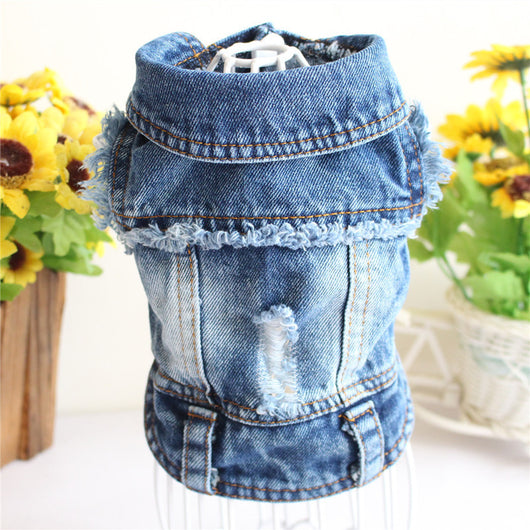 Chaleco Denim para Perros Pequeños - Abrigo de Moda Primavera para Mascotas - Image 15