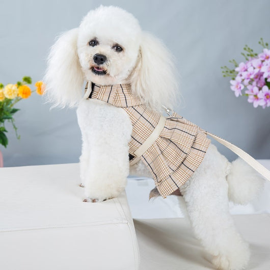 Arnés de Pecho con Cuerda de Sujeción para Mascotas - Image 9