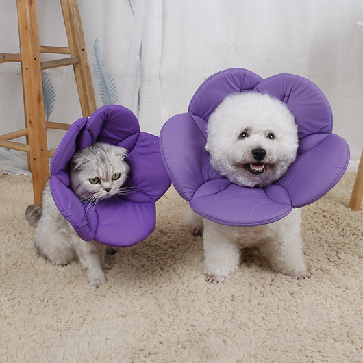 Protector Antirraspuños para Mascotas con Diseño Floral - Image 10