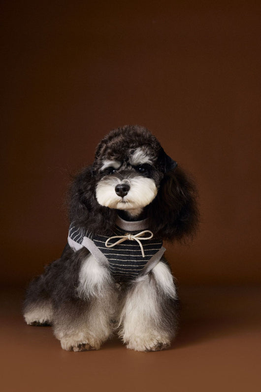 Suéter Tejido sin Mangas para Perros Pequeños Bichón Maltés York - Image 19