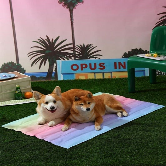 Colchoneta Refrescante para Perros - Mat de Gel para Verano