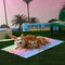 Colchoneta Refrescante para Perros - Mat de Gel para Verano
