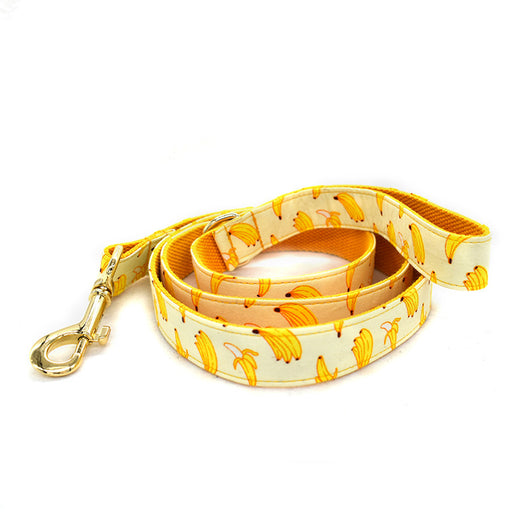 Collar de Tiro con Hebilla de Metal Dorado para Mascotas - Image 14