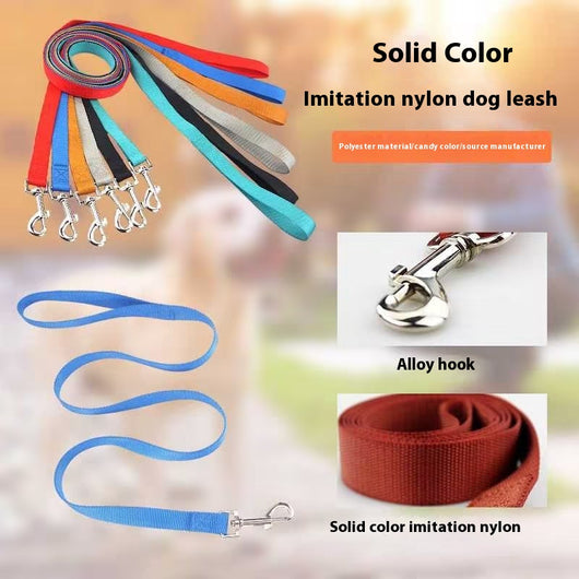 Cuerda de Paseo para Perros de Nylon Resistente