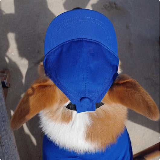 Gorra Protectora Solar Ajustable para Mascotas con Orejas Descubiertas - Image 3